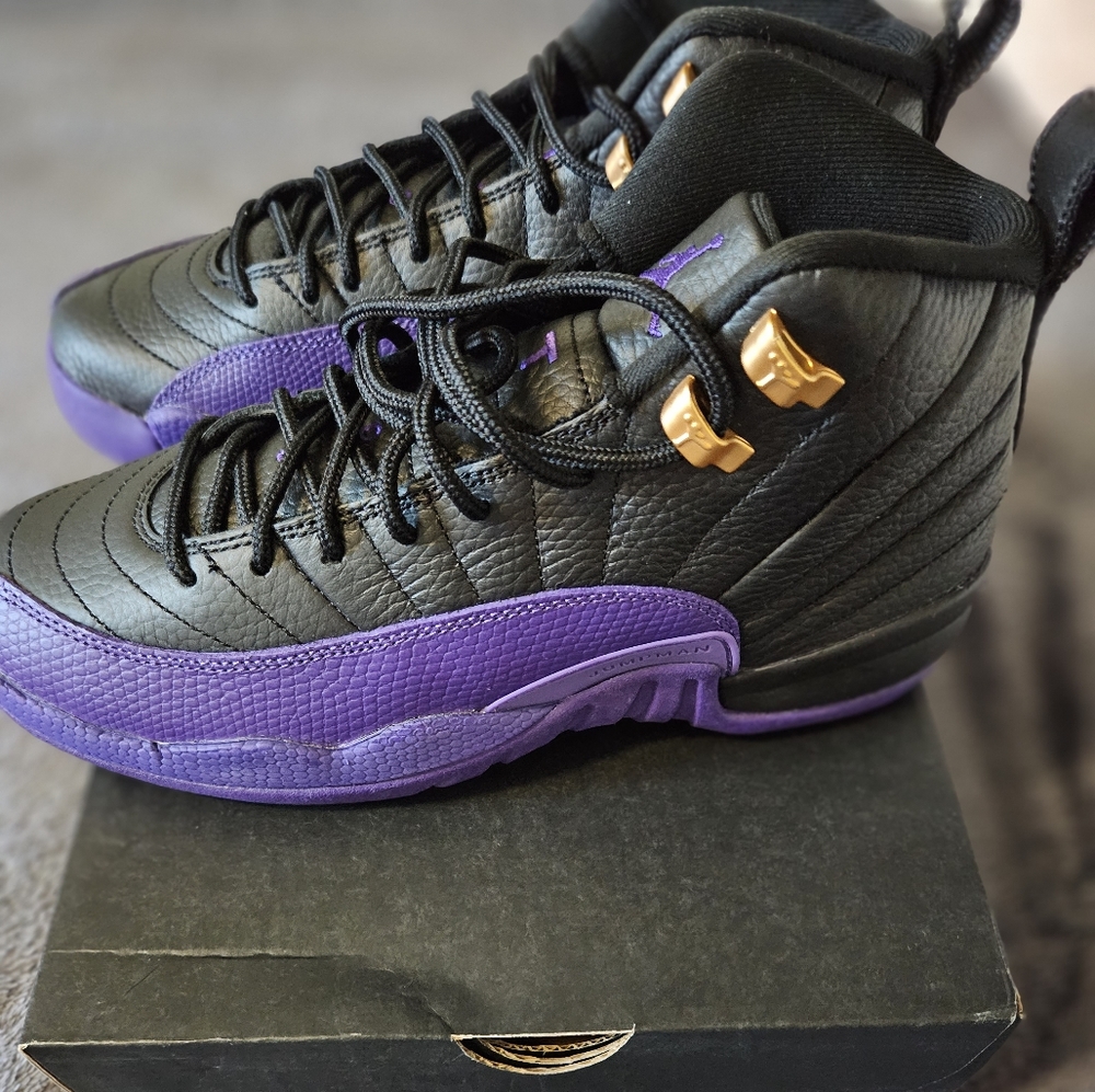 Air jordan 12 retro